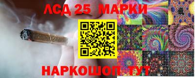 кокс Кандалакша