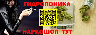 кокс Кандалакша