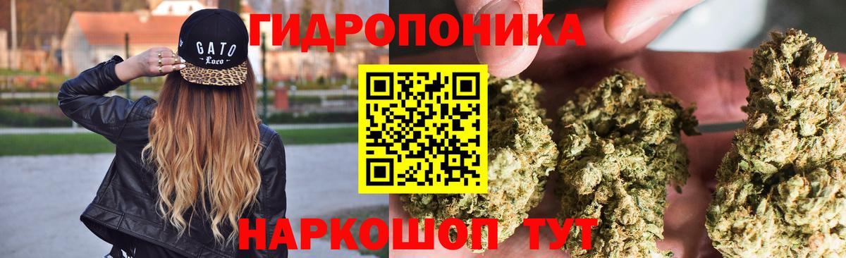Конопля индика Лениногорск